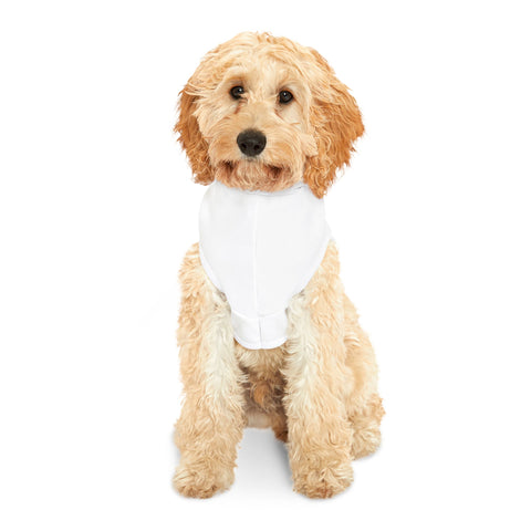 Marlin Jumping Pet Hoodie